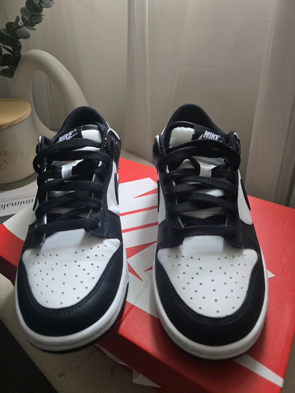 Nike Men’s Black/White Low-Top Sneakers